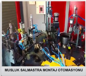 MUSLUK-SALMASTRA-MONTAJ-OTOMASYONU